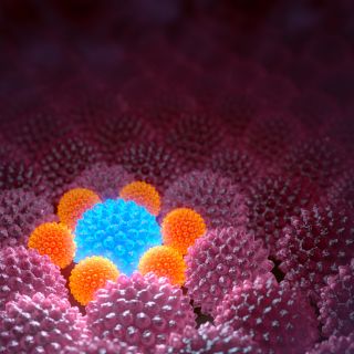 Wzmocnienie odporności